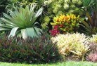 Euclabali-style-landscaping-6old.jpg; ?>